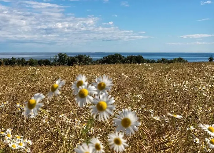 Bornholm Appartement Svaneke